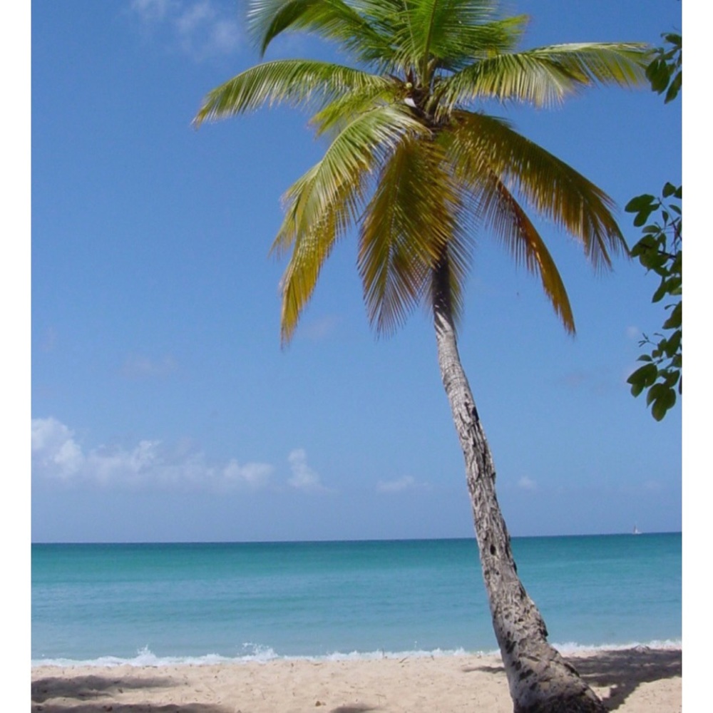 Meet your Posher, Mandy